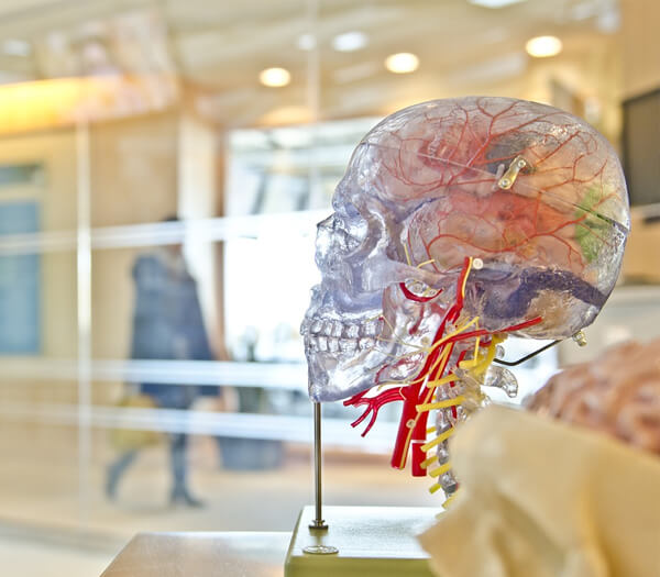 Orthopedics Department